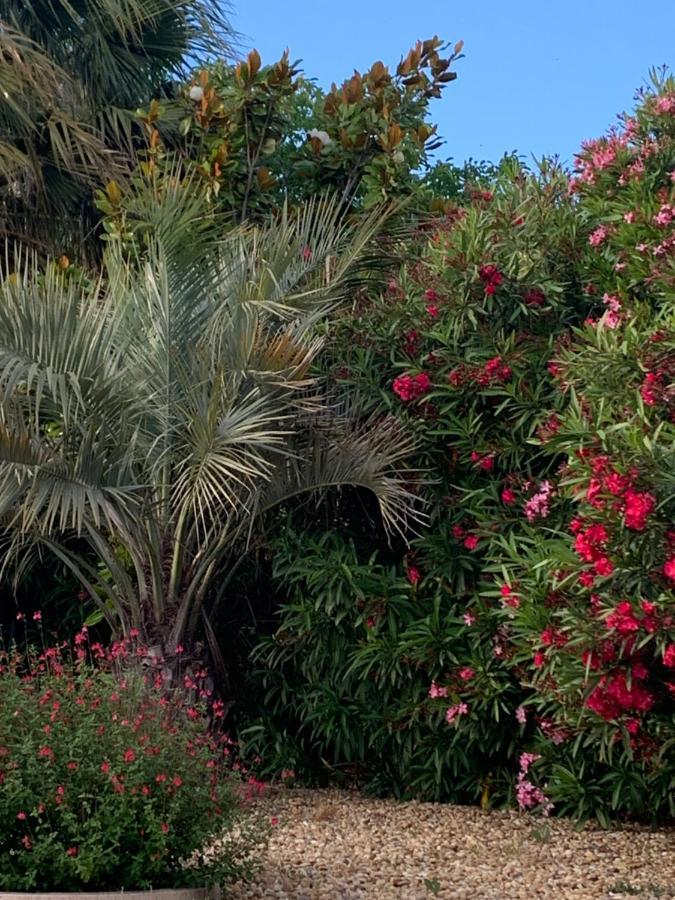 La Dolce Vita Occitane Conilhac-Corbieres Экстерьер фото